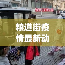 粮道街疫情最新动态全面解读
