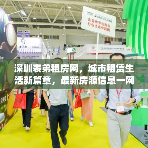 深圳表弟租房网，城市租赁生活新篇章，最新房源信息一网打尽