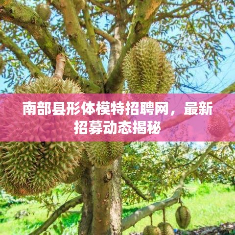 南部县形体模特招聘网,最新招募动态揭秘