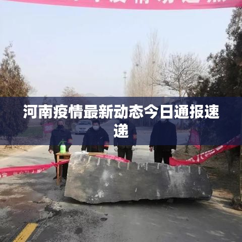 河南疫情最新动态今日通报速递