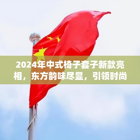 2024年中式椅子套子新款亮相，东方韵味尽显，引领时尚风潮