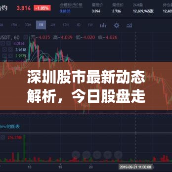 深圳股市最新动态解析，今日股盘走势分析