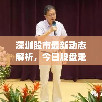 深圳股市最新动态解析,今日股盘走势分析