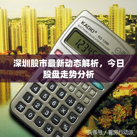 深圳股市最新动态解析,今日股盘走势分析