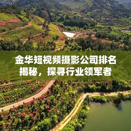 金华短视频摄影公司排名揭秘，探寻行业领军者