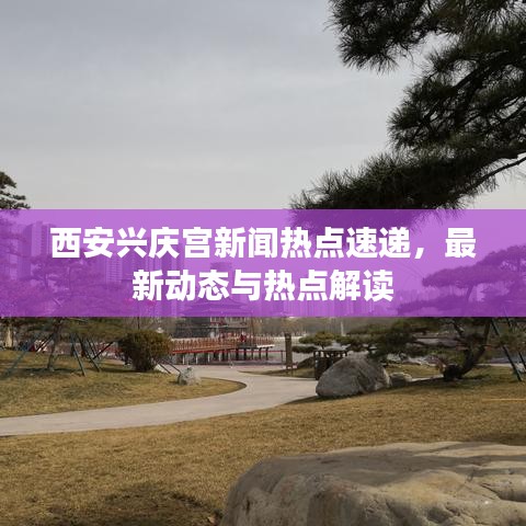 西安兴庆宫新闻热点速递,最新动态与热点解读