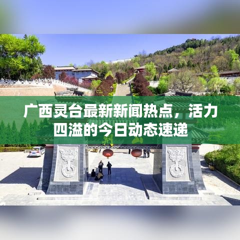 广西灵台最新新闻热点，活力四溢的今日动态速递