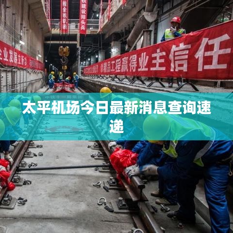 太平机场今日最新消息查询速递
