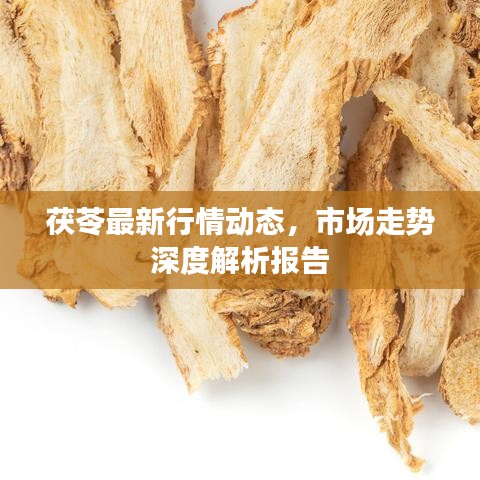茯苓最新行情动态，市场走势深度解析报告