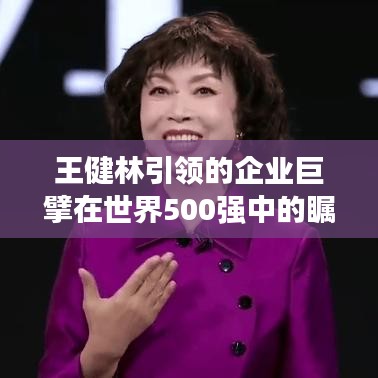 王健林引领的企业巨擘在世界500强中的瞩目地位