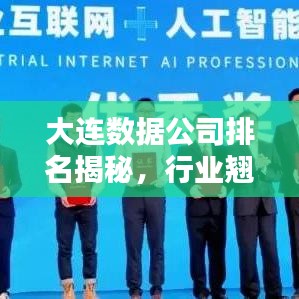 大连数据公司排名揭秘，行业翘楚引领数字化浪潮