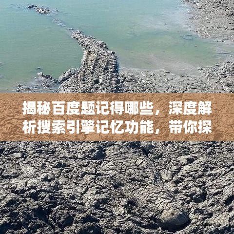 揭秘百度题记得哪些，深度解析搜索引擎记忆功能，带你探索未知奥秘