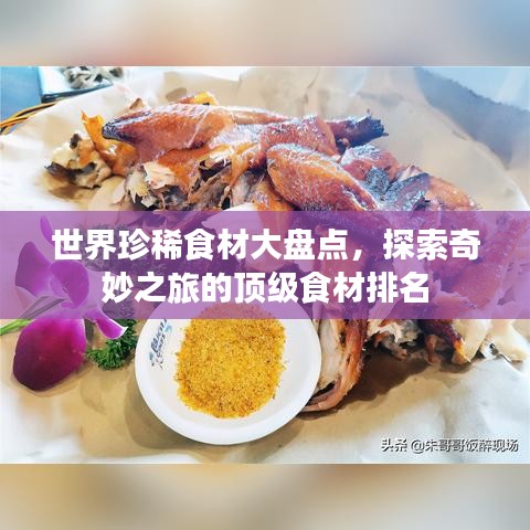 世界珍稀食材大盘点，探索奇妙之旅的顶级食材排名