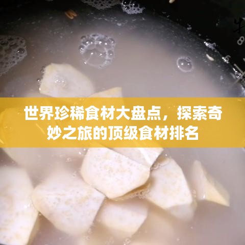世界珍稀食材大盘点,探索奇妙之旅的顶级食材排名