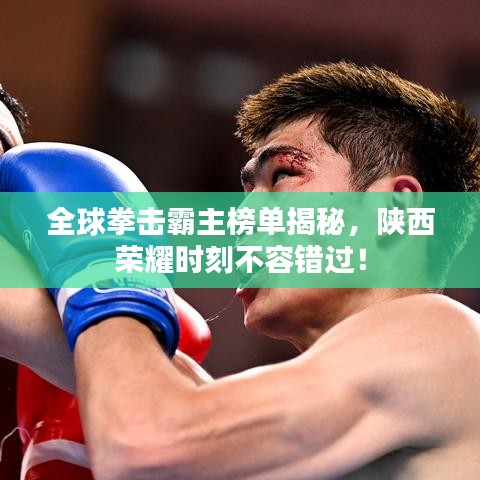 全球拳击霸主榜单揭秘，陕西荣耀时刻不容错过！