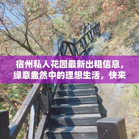 宿州私人花园最新出租信息，绿意盎然中的理想生活，快来寻找你的绿色家园！