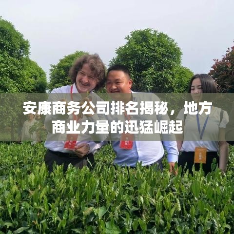 安康商务公司排名揭秘,地方商业力量的迅猛崛起