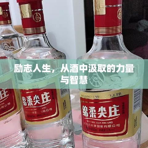 励志人生，从酒中汲取的力量与智慧
