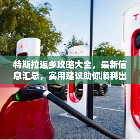 特斯拉返乡攻略大全，最新信息汇总，实用建议助你顺利出行