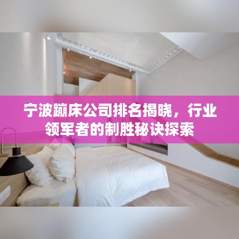 宁波蹦床公司排名揭晓，行业领军者的制胜秘诀探索