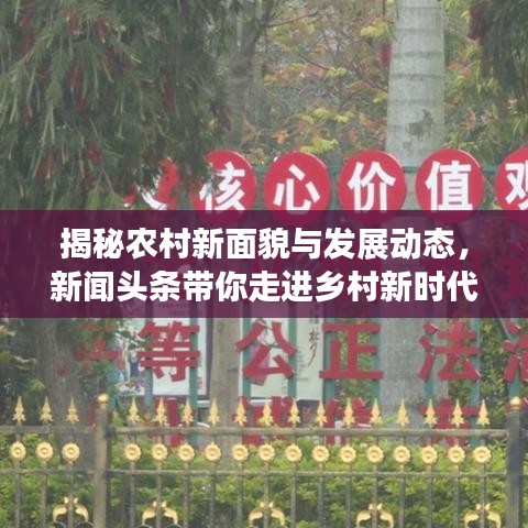揭秘农村新面貌与发展动态，新闻头条带你走进乡村新时代
