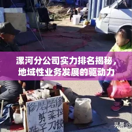 漯河分公司实力排名揭秘，地域性业务发展的驱动力