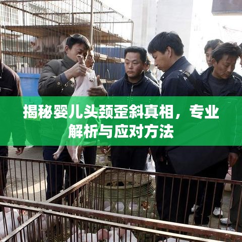 揭秘婴儿头颈歪斜真相，专业解析与应对方法