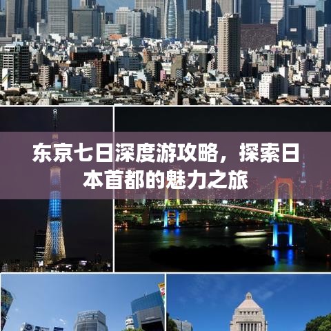 东京七日深度游攻略，探索日本首都的魅力之旅