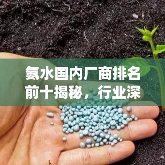 氨水国内厂商排名前十揭秘，行业深度洞察与权威分析