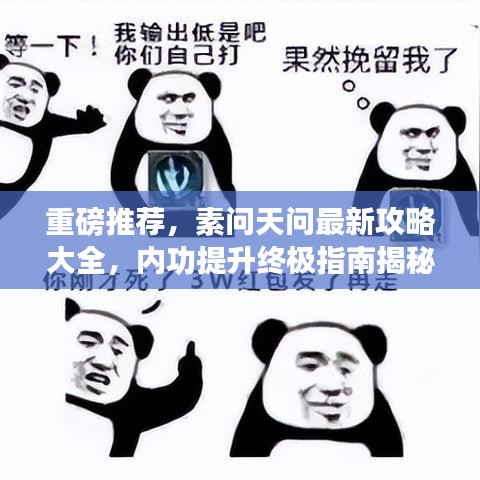 重磅推荐，素问天问最新攻略大全，内功提升终极指南揭秘！