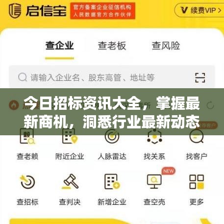 今日招标资讯大全，掌握最新商机，洞悉行业最新动态