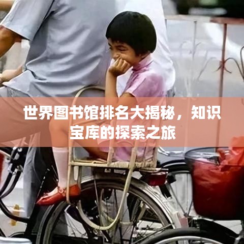 世界图书馆排名大揭秘，知识宝库的探索之旅