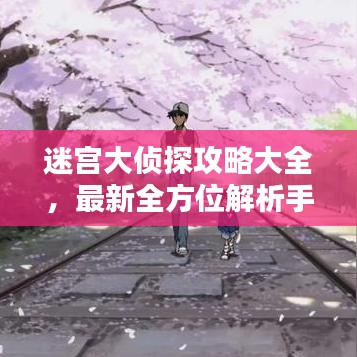 迷宫大侦探攻略大全，最新全方位解析手册！