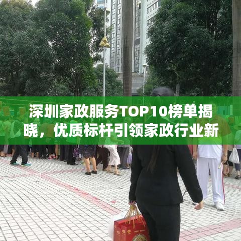 深圳家政服务TOP10榜单揭晓，优质标杆引领家政行业新风尚