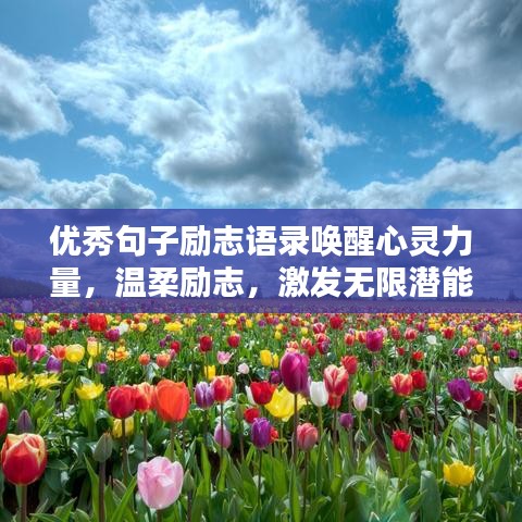 优秀句子励志语录唤醒心灵力量，温柔励志，激发无限潜能