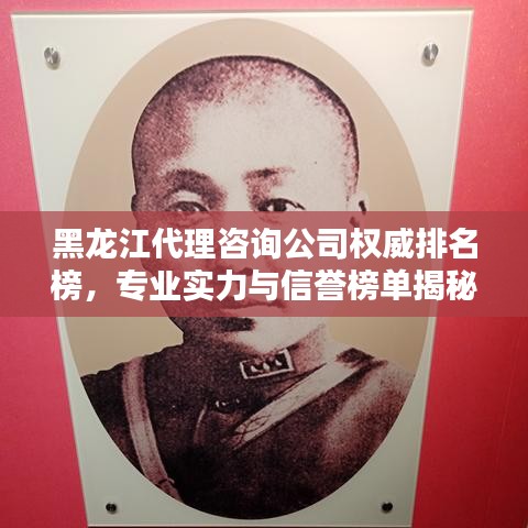 黑龙江代理咨询公司权威排名榜，专业实力与信誉榜单揭秘！