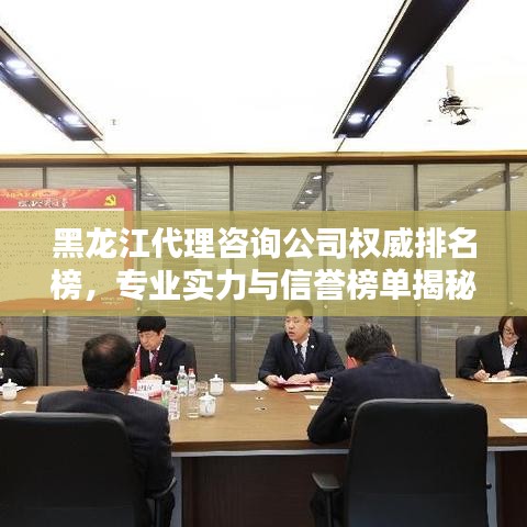黑龙江代理咨询公司权威排名榜,专业实力与信誉榜单揭秘!