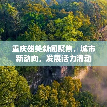 百鸟归巢 第8页