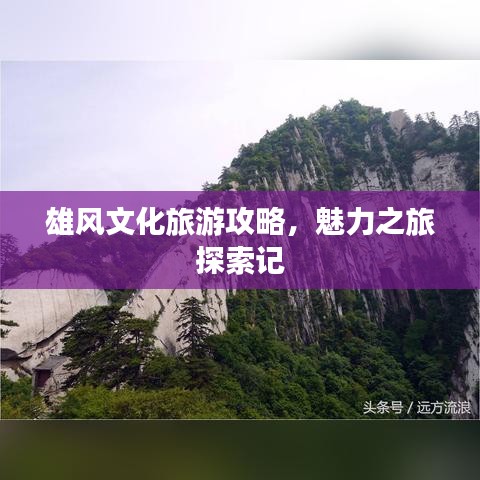 雄风文化旅游攻略，魅力之旅探索记