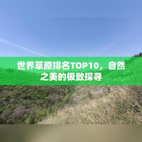 世界草原排名TOP10，自然之美的极致探寻