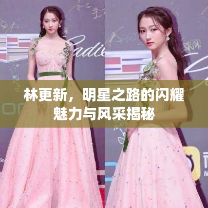 林更新，明星之路的闪耀魅力与风采揭秘