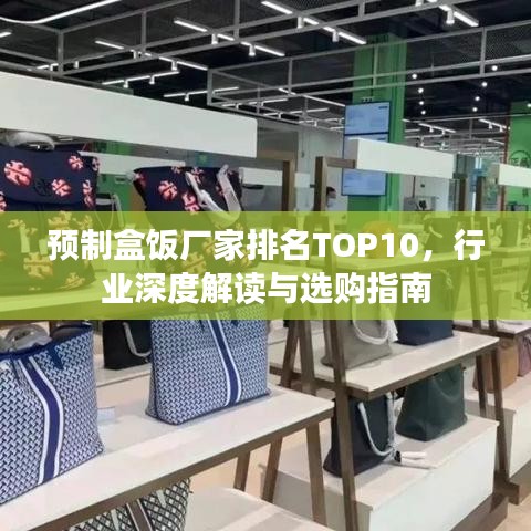 预制盒饭厂家排名TOP10，行业深度解读与选购指南