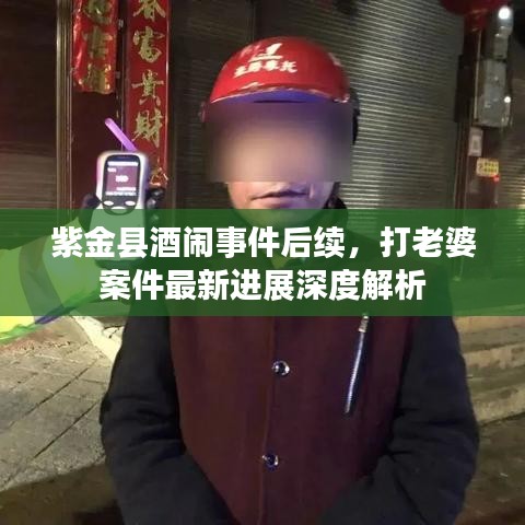 紫金县酒闹事件后续，打老婆案件最新进展深度解析