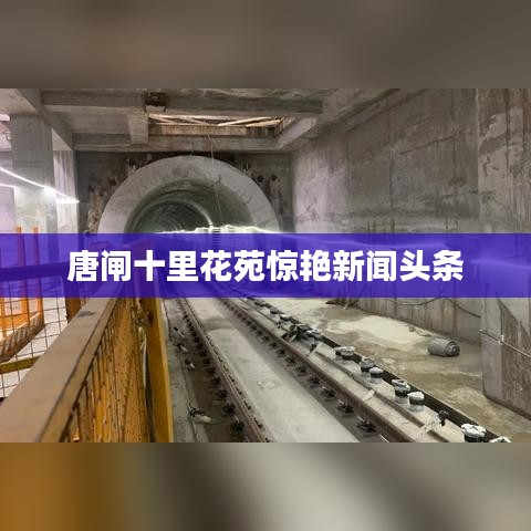 唐闸十里花苑惊艳新闻头条