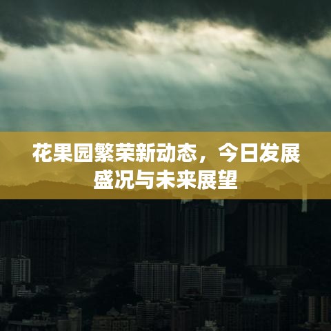 花果园繁荣新动态，今日发展盛况与未来展望