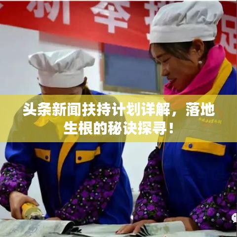 头条新闻扶持计划详解，落地生根的秘诀探寻！