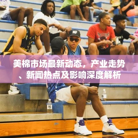 美棉市场最新动态，产业走势、新闻热点及影响深度解析