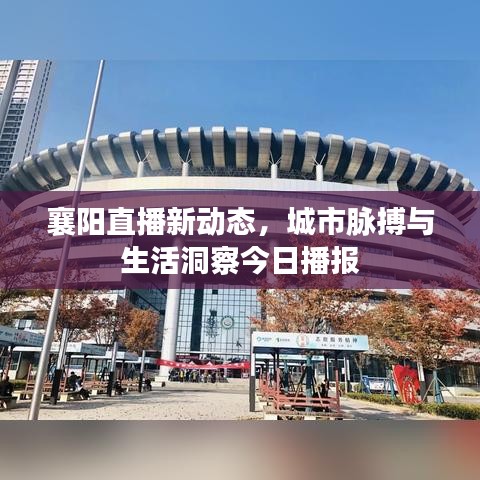襄阳直播新动态,城市脉搏与生活洞察今日播报