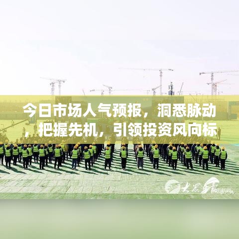 今日市场人气预报，洞悉脉动，把握先机，引领投资风向标