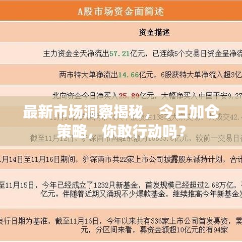 最新市场洞察揭秘，今日加仓策略，你敢行动吗？
